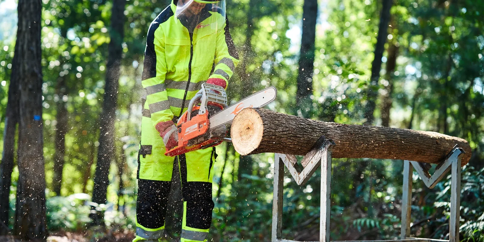 top-Chain Saw